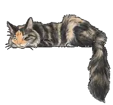A long-haired tabby cat asleep, her tail hanging over the edge